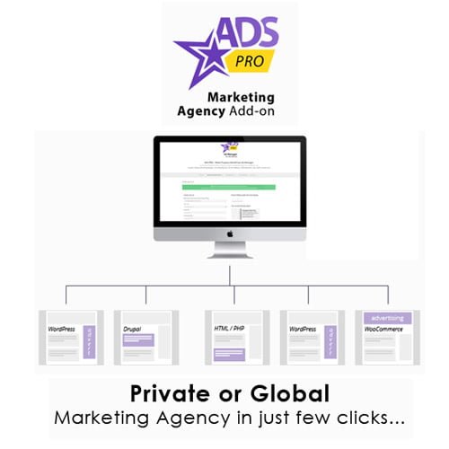Ads-Pro-Add-on-WordPress-Marketing-Agency.jpg Ads Pro Add-on - WordPress Marketing Agency - Image 1