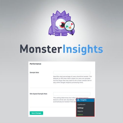 MonsterInsights - Performance Addon